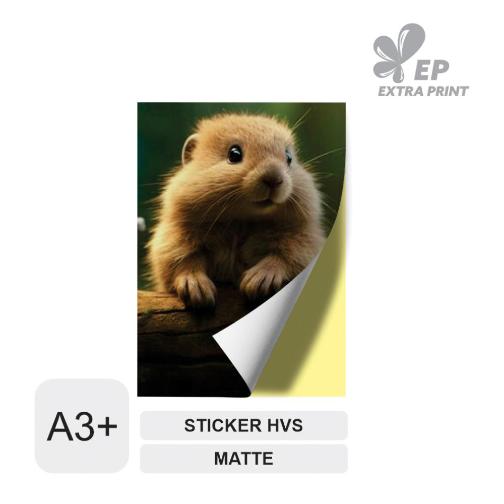 Cetak Digital A3+ Sticker HVS